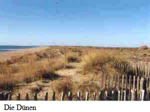 Duene beim Ferienhaus in Frankreich