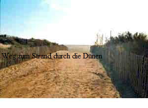 Durch die D�nen03